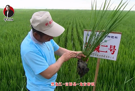 富?？h-龍安橋鎮